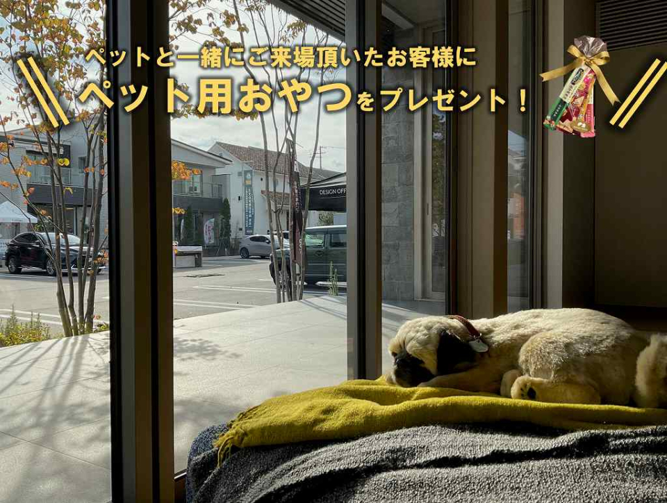 ご来場の際にはお洋服とマナーパンツをご着用頂きますようお願い致します。
ご来場状況によってご案内できない可能性がありますので、ペット同伴のご来場につきましては事前にご予約もしくはご連絡頂けるとスムーズにご案内させて頂きます。
また、積水ハウスの他の展示場の場合では、ペット同伴が難しい場合がございますので、予めお問い合わせ頂きますようお願い致します。
ペット用おやつの画像はイメージです。おかしの内容は変更となります。